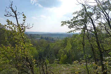 Ausblick Galgenberg