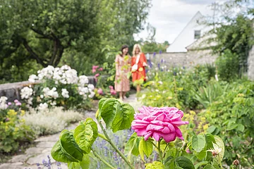 Freundinnen im Rosengarten