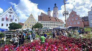 Fuchsienmarkt Wemding