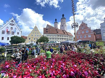 Fuchsienmarkt Wemding