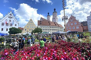 Fuchsienmarkt Wemding