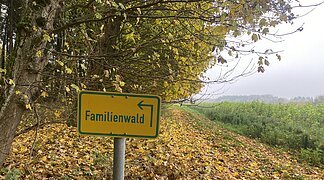 Familienwald Wemding